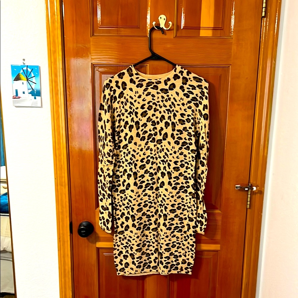 Leopard Print Long Sleeve Dress